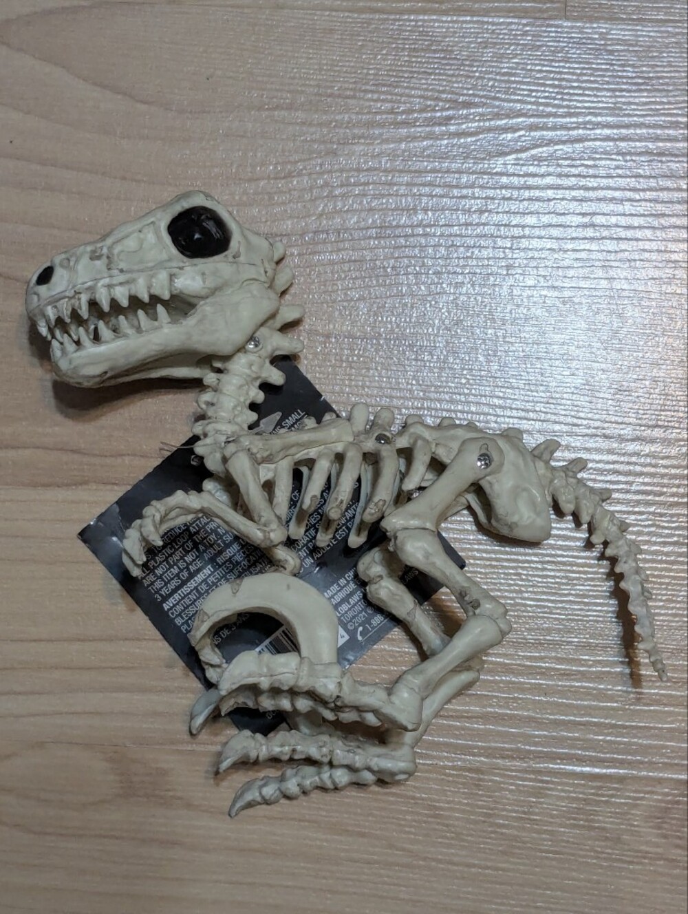 NWT T-Rex Mini Skeleton Statue
